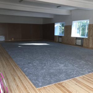 Ковролін  33631 для художньої гімнастики (економ)