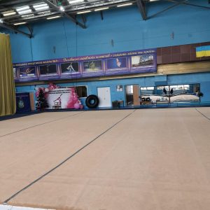 Килим для художньої гімнастики 40