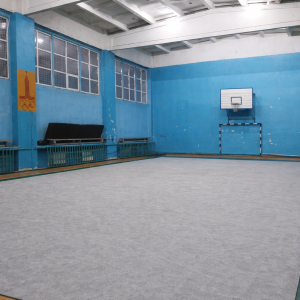 Килим для художньої гімнастики 30331(економ)